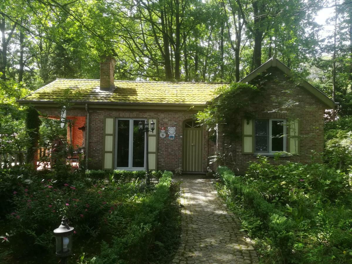 Rainbow Lodge Ursel Екстер'єр фото